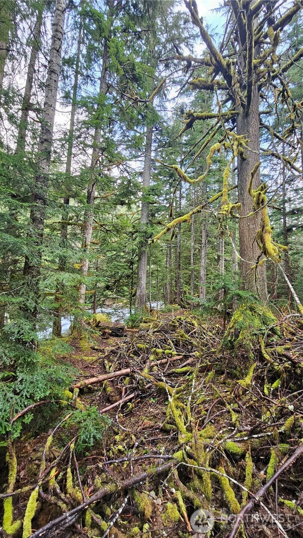 Photo of 87020 NE 122nd Street, Skykomish, WA 98288 (MLS # 2374906)