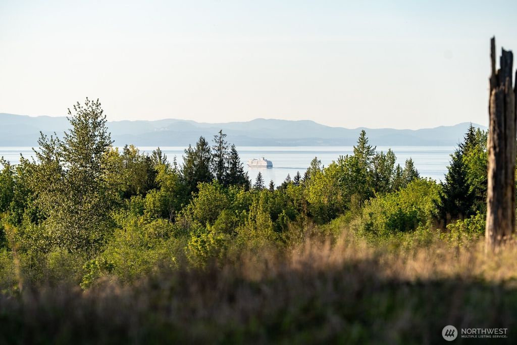 Photo of 405 Elk Run Trail, Port Angeles, WA 98362 (MLS # 2524521)