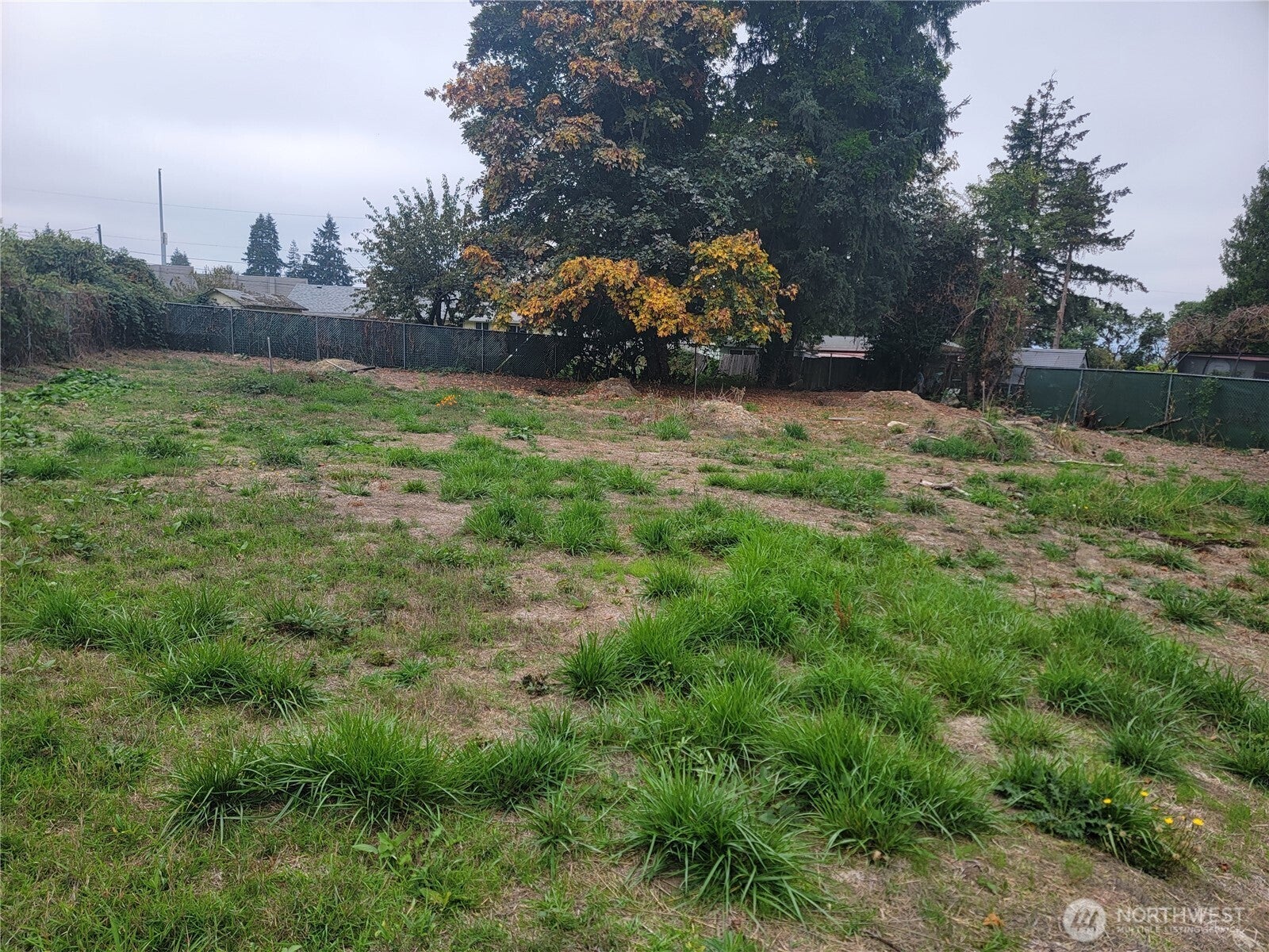 21200 Parcel #1022049138 Military Rd Road S