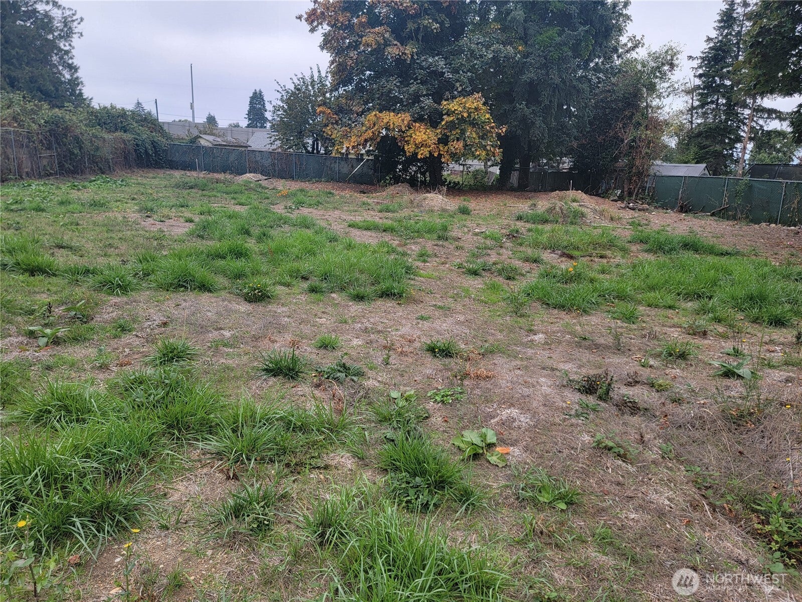 21200 Parcel #1022049138 Military Rd Road S