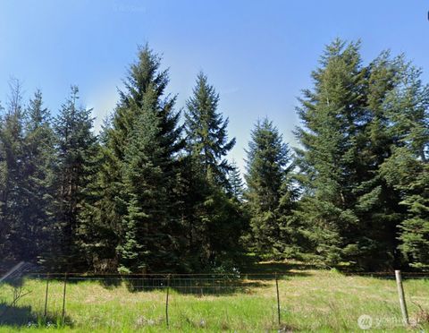 Photo of 0 Loganberry Street SW, Rochester, WA 98579 (MLS # 2484379)