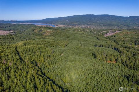 Photo of 6 Parpala Road #6, Naselle, WA 98638 (MLS # 2451388)