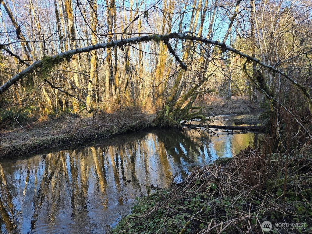 Photo of 1531 W Ford Road, Matlock, WA 98560 (MLS # 2484343)