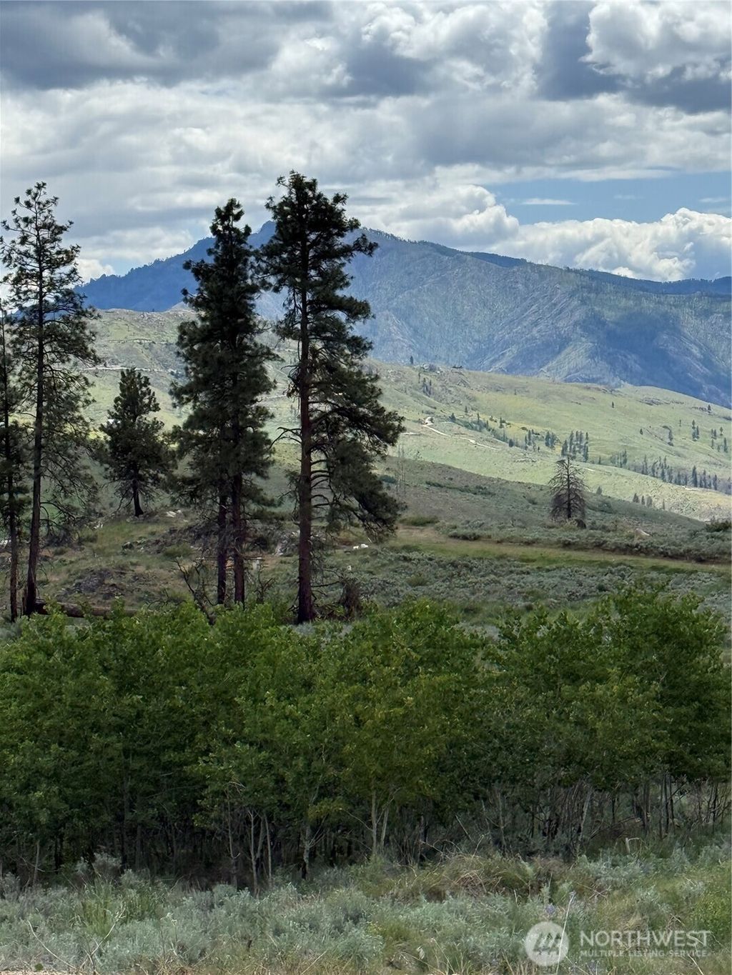 Photo of 3 Ruttin Ridge Road, Methow, WA 98834 (MLS # 2505387)