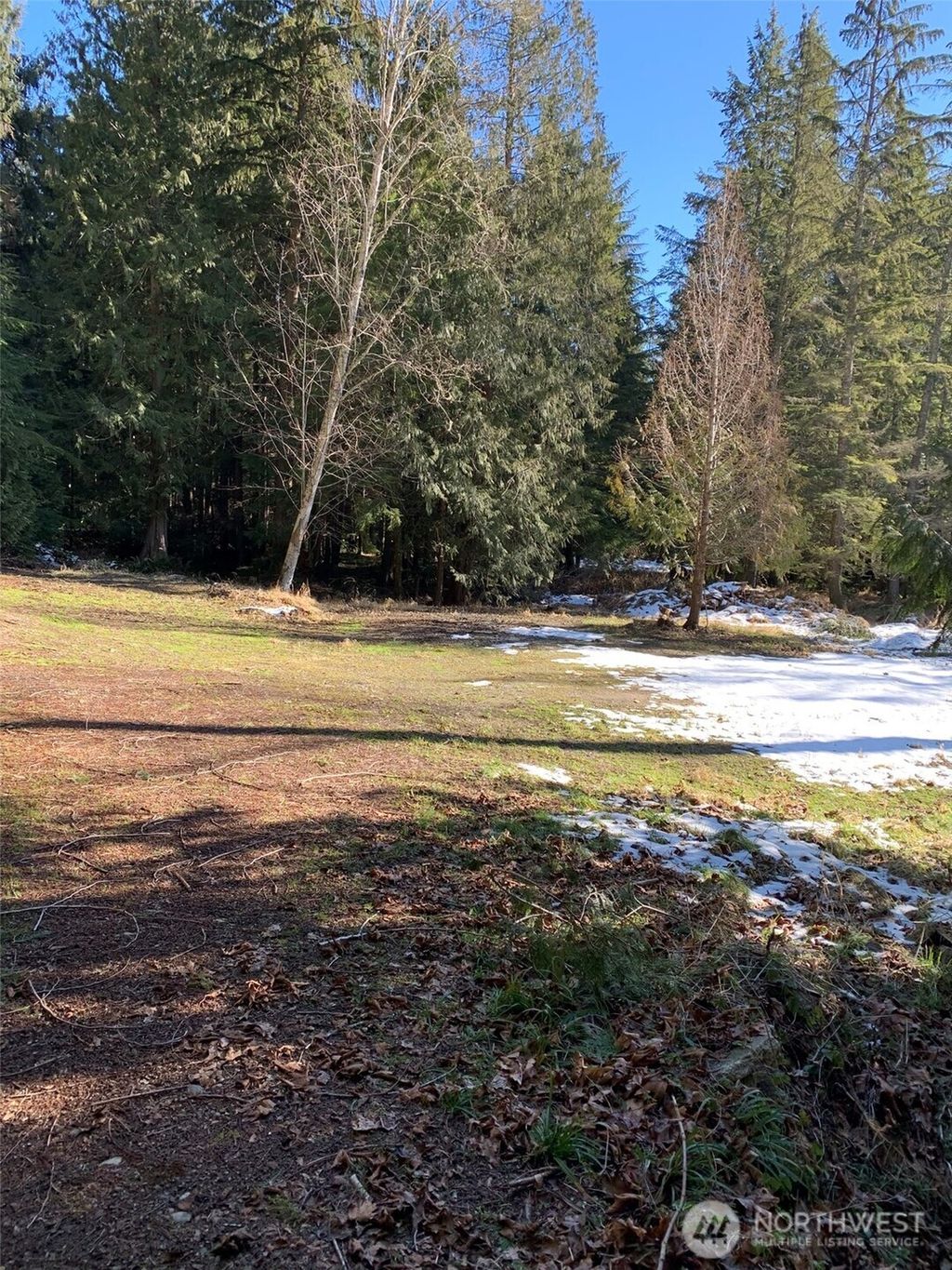 Photo of 47 XX 250th Avenue SE, Issaquah, WA 98029 (MLS # 2424786)