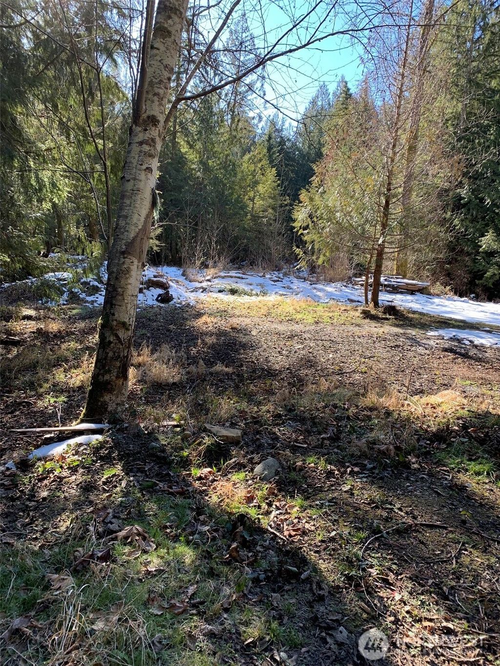 Photo of 47 XX 250th Avenue SE, Issaquah, WA 98029 (MLS # 2424786)