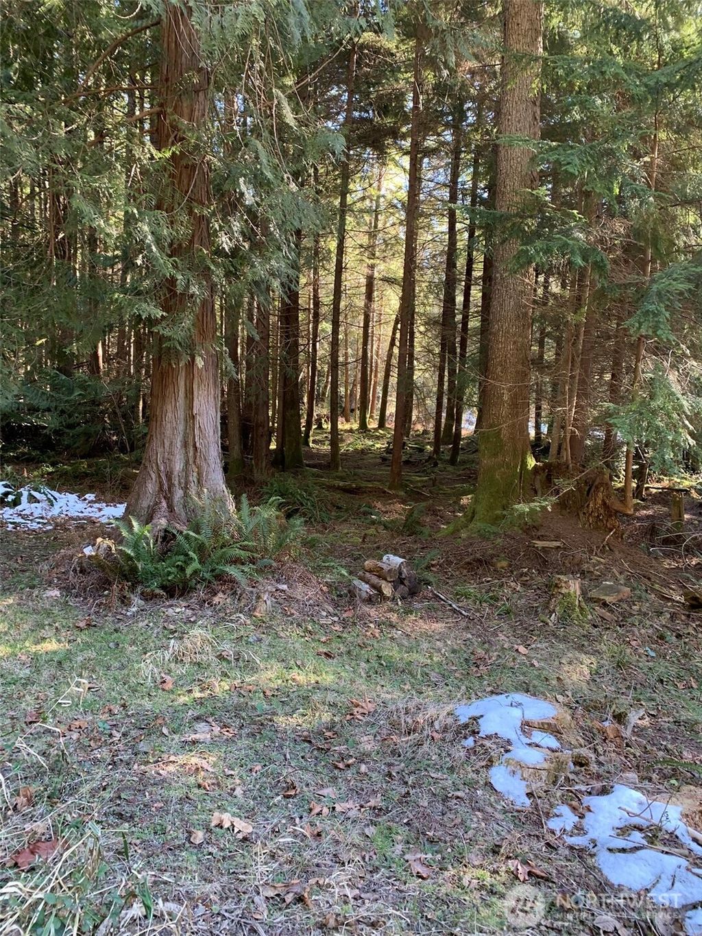 Photo of 47 XX 250th Avenue SE, Issaquah, WA 98029 (MLS # 2424786)