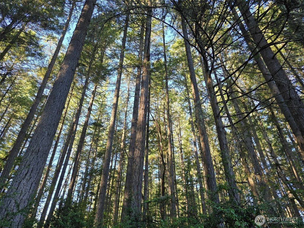 Photo of 11620 Mill Place, Anderson Island, WA 98303 (MLS # 2468781)