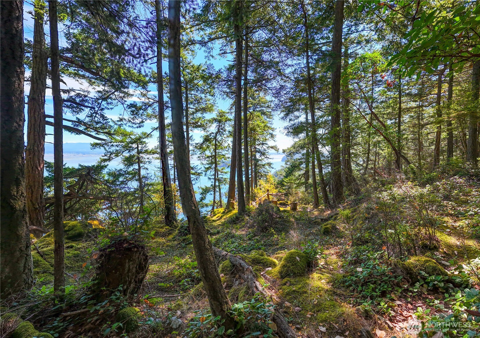 7121 Island View Drive