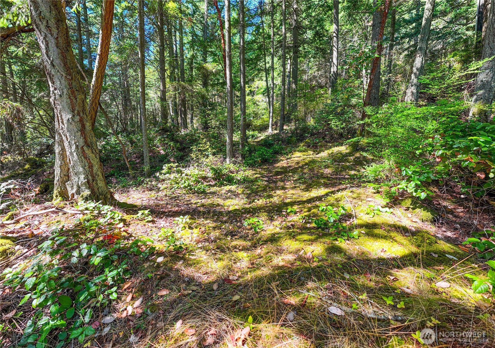 7121 Island View Drive