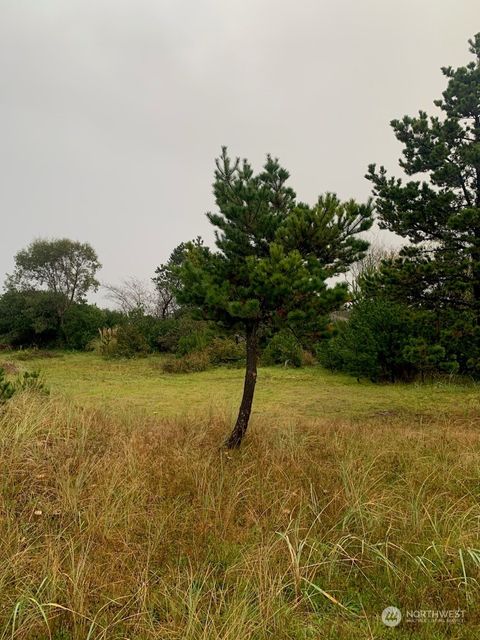 Photo of 31409 I Street, Ocean Park, WA 98640 (MLS # 2313171)