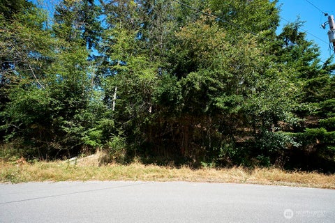 Photo of 2 & 3 LOT Sycamore Road, Coupeville, WA 98239 (MLS # 2590476)