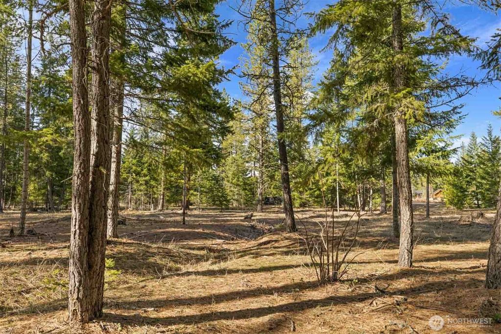 Photo of 30 Domerie Park Loop, Cle Elum, WA 98922 (MLS # 2502047)