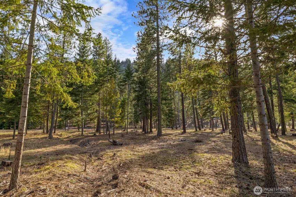 Photo of 30 Domerie Park Loop, Cle Elum, WA 98922 (MLS # 2502047)
