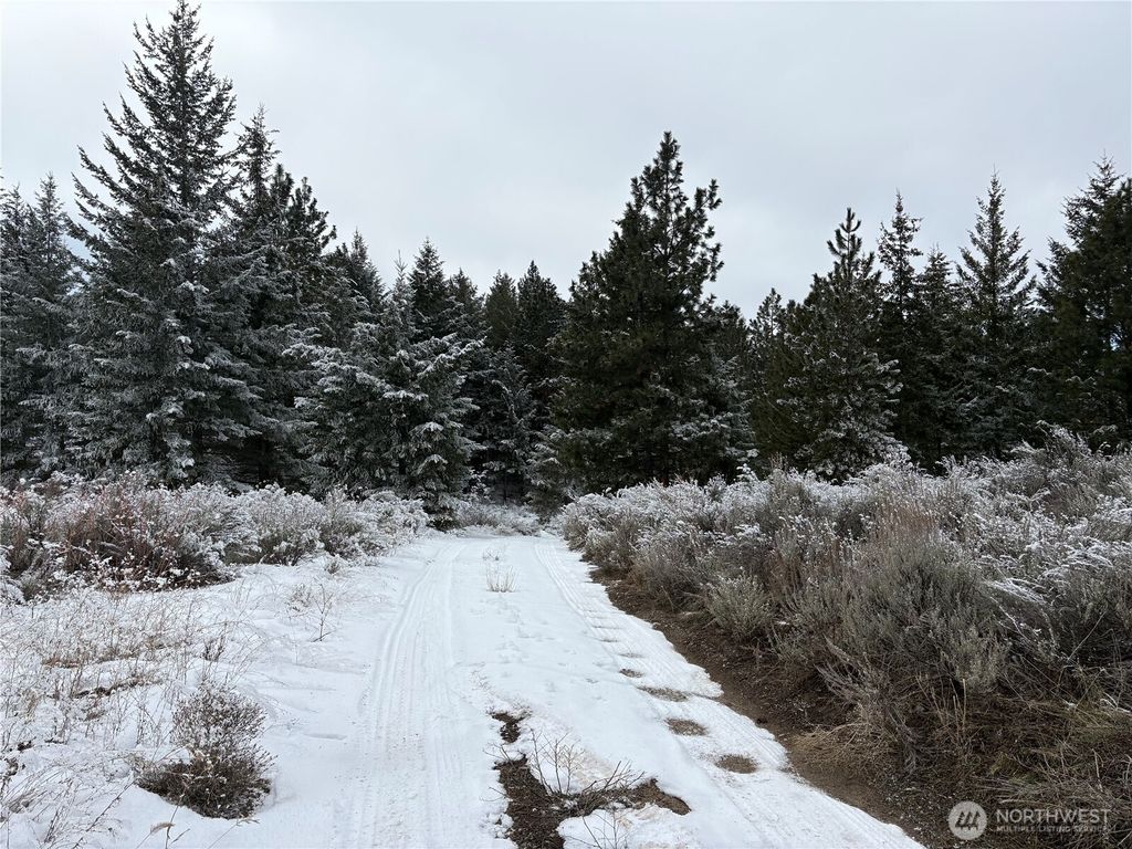 Photo of 0 Redfield Rd, Waterville, WA 98858 (MLS # 2473418)