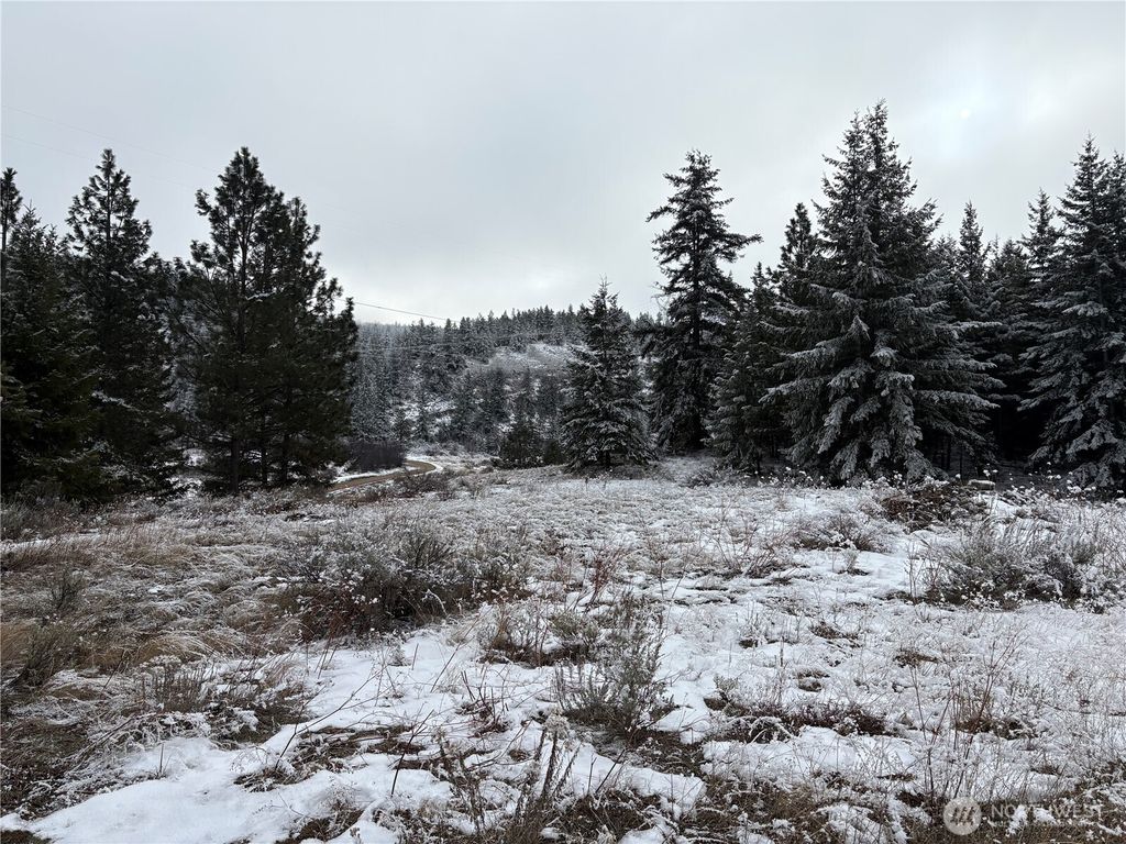 Photo of 0 Redfield Rd, Waterville, WA 98858 (MLS # 2473418)
