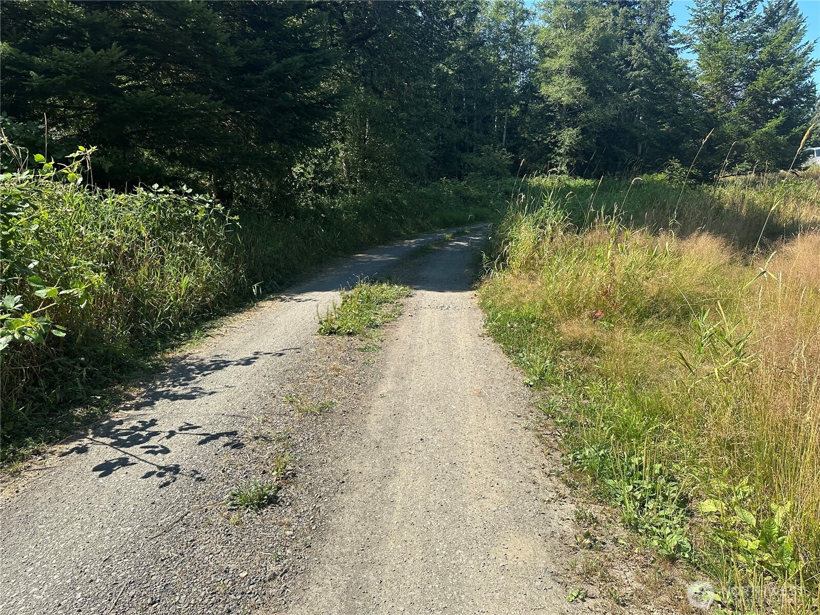 292002 Hwy 101