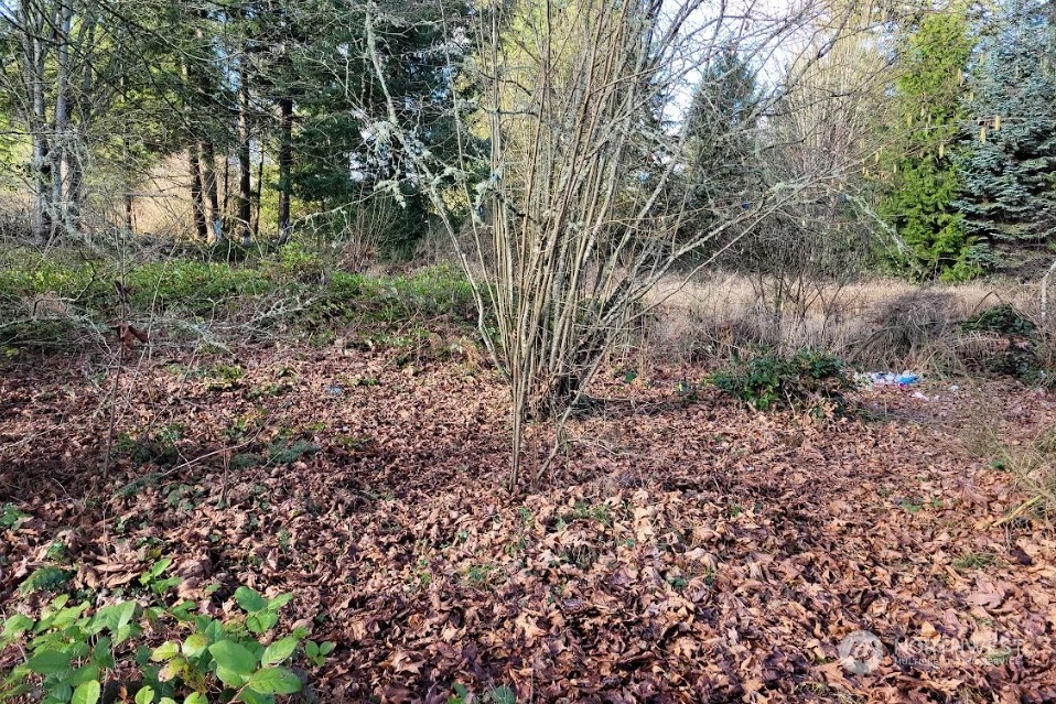 120 Pattison Street NE