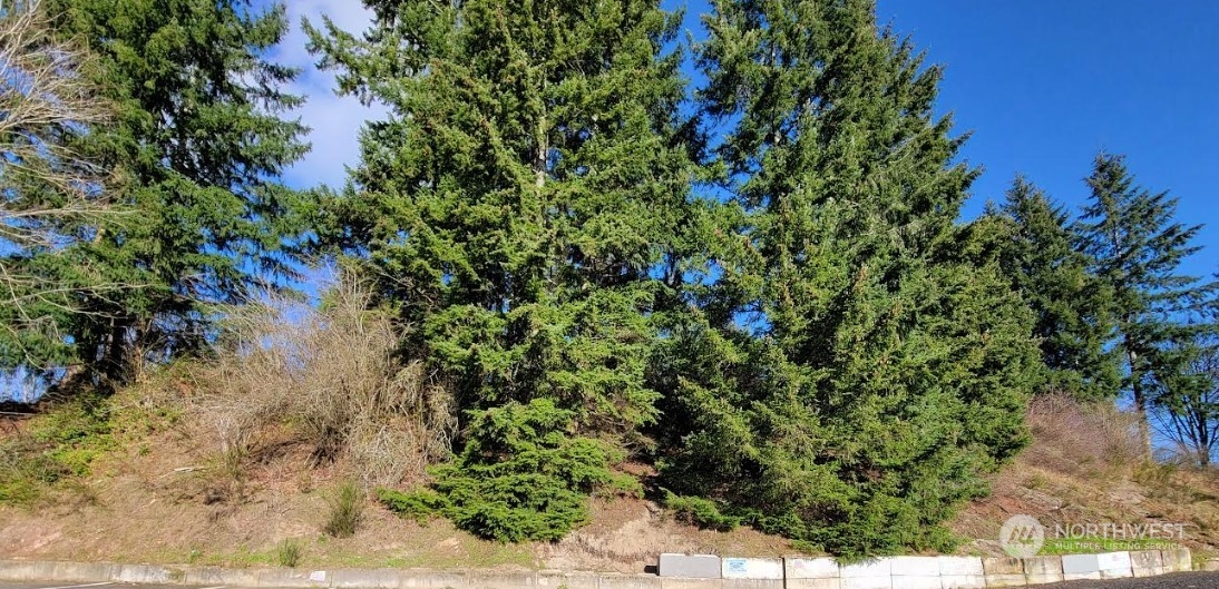 120 Pattison Street NE