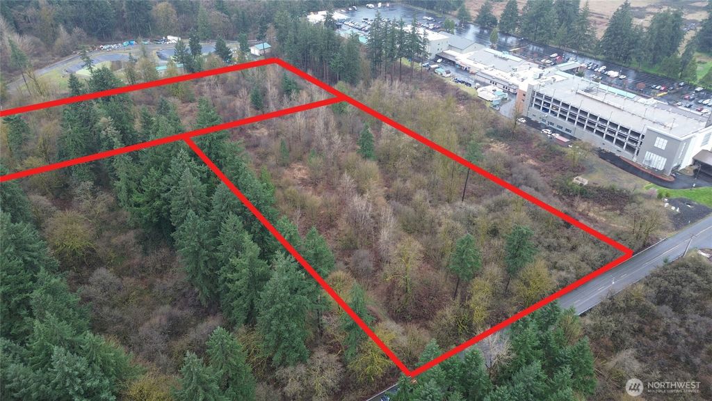 Photo of 13036 188th Avenue SW, Rochester, WA 98579 (MLS # 2494943)