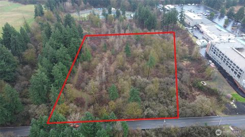 Photo of 13036 188th Avenue SW, Rochester, WA 98579 (MLS # 2494943)