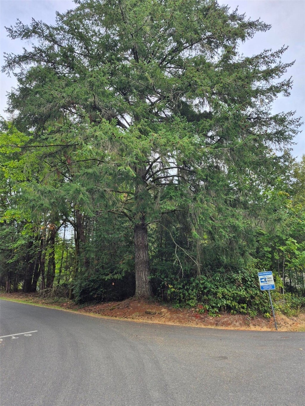 Photo of 2340 Westwind Drive NW, Olympia, WA 98502 (MLS # 2600012)