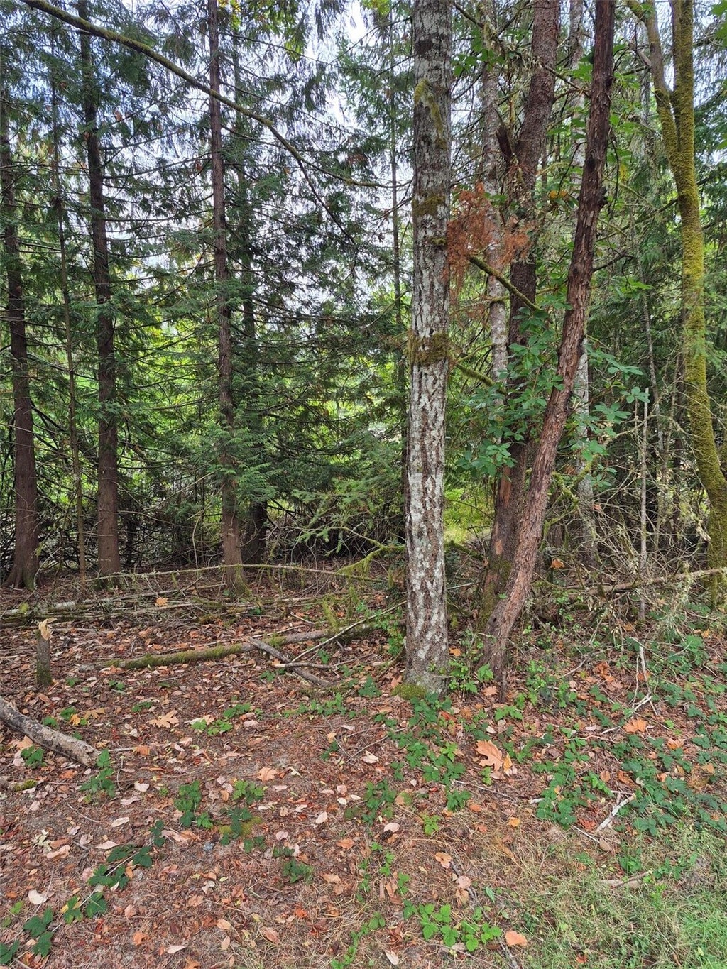 Photo of 2340 Westwind Drive NW, Olympia, WA 98502 (MLS # 2600012)