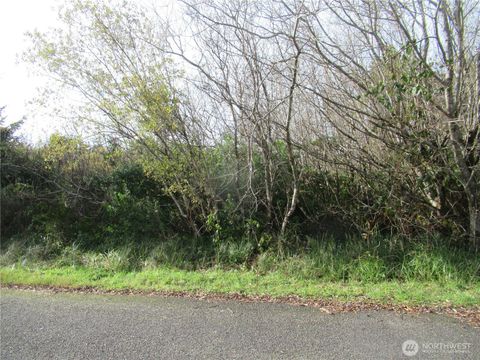 12 Driftwood Drive Ocean Shores WA 98569