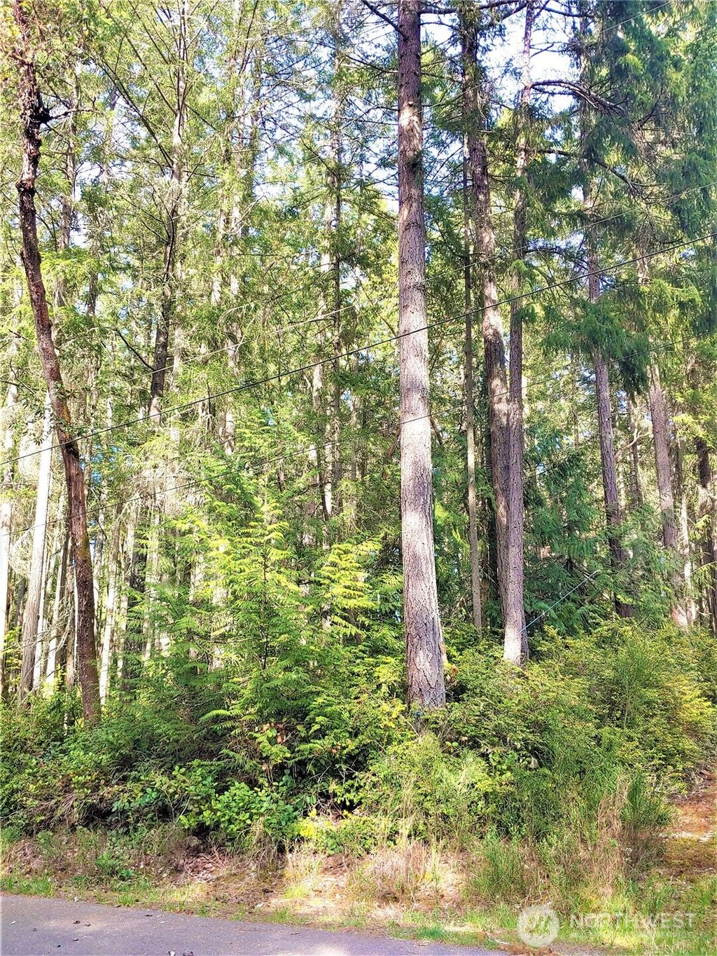 Photo of 11107 122nd Avenue Ct, Anderson Island, WA 98303 (MLS # 2477518)