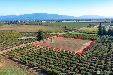 Photo of 9919 Holmquist Road, Lynden, WA 98264 (MLS # 2438065)