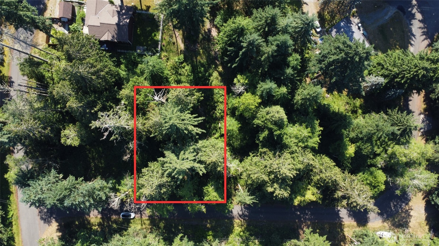 10114 Selma Circle