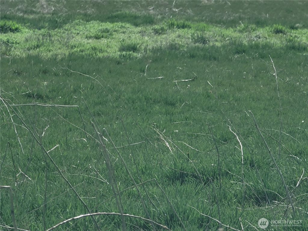 Photo of 2600 Watson Road, Ellensburg, WA 98926 (MLS # 2494446)