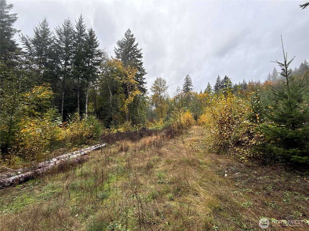 Photo of 4 XX Forest Road 52, Packwood, WA 99338 (MLS # 2452068)
