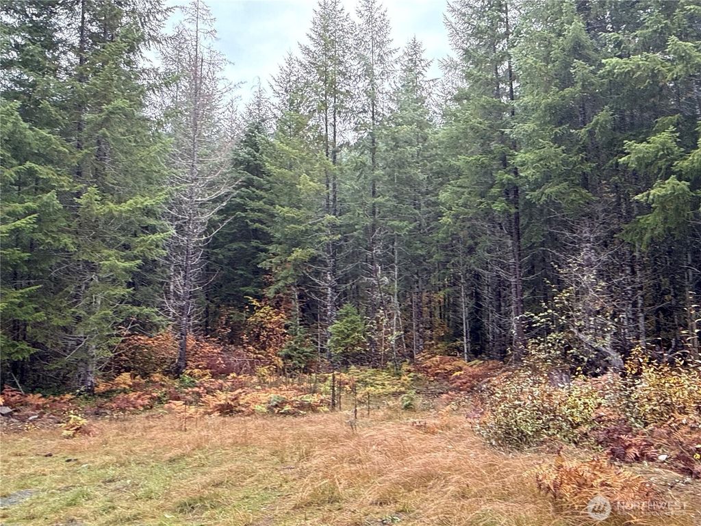 Photo of 4 XX Forest Road 52, Packwood, WA 99338 (MLS # 2452068)
