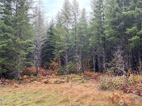 4 Forest Road 52 Packwood WA 99338
