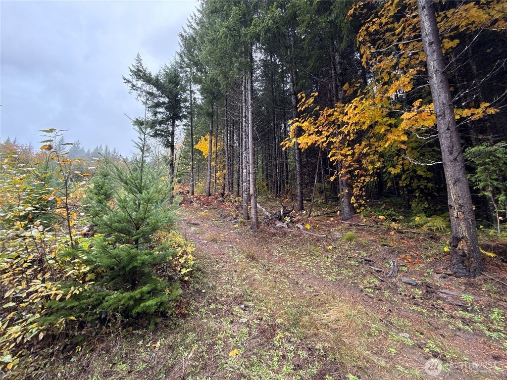 Photo of 4 XX Forest Road 52, Packwood, WA 99338 (MLS # 2452068)