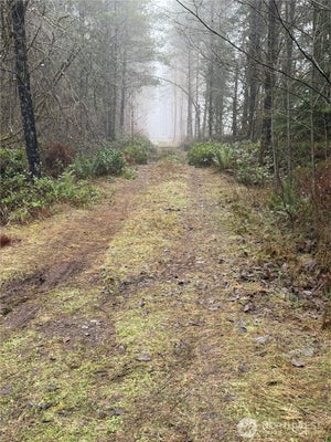 310 OYLER RD, ETHEL, WA 98542 - Image ac2e85a70caa19f6176964d04d73fb4b/1776458773