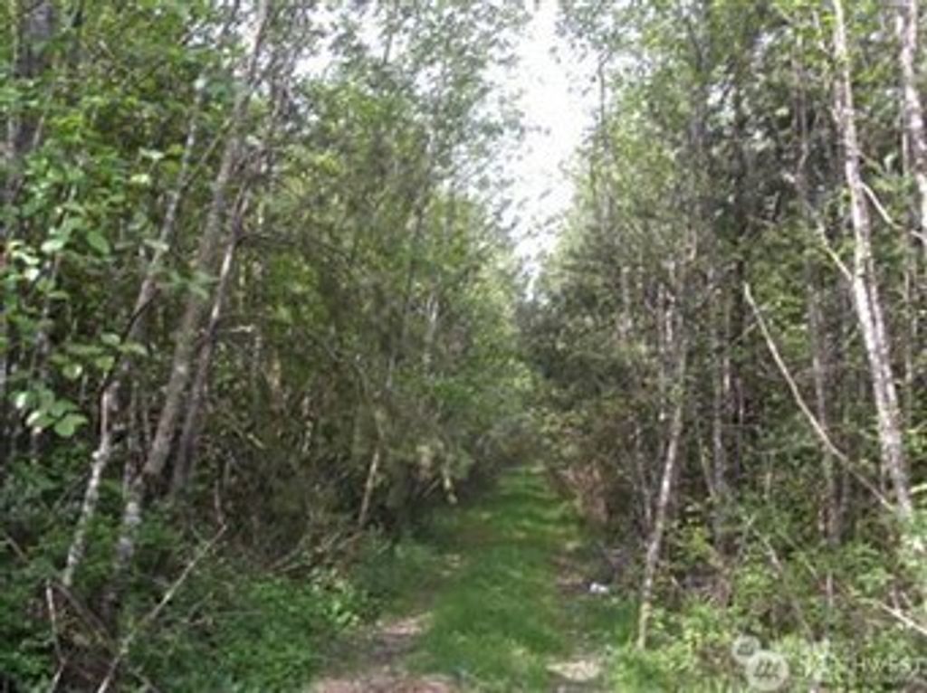 Photo of 310 Oyler Road, Ethel, WA 98542 (MLS # 2529296)
