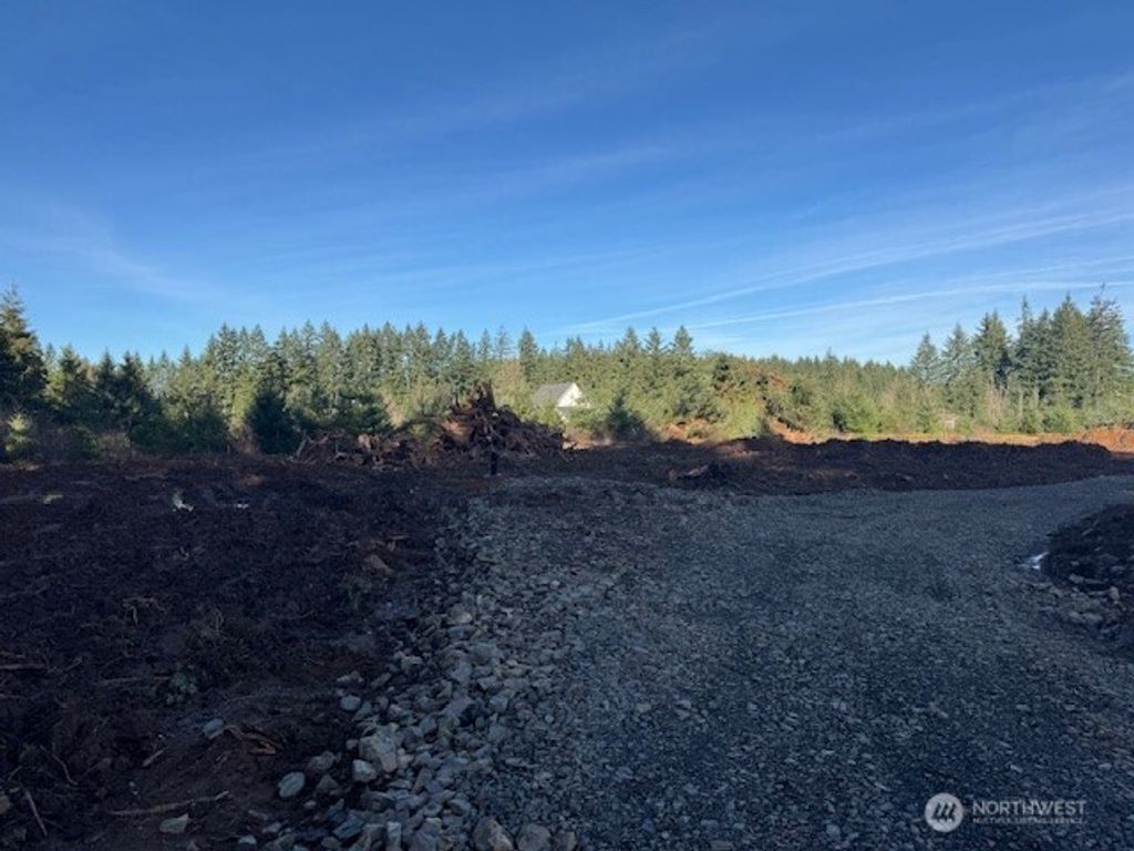 Photo of 380 Hawkins Road, Winlock, WA 98596 (MLS # 2483213)