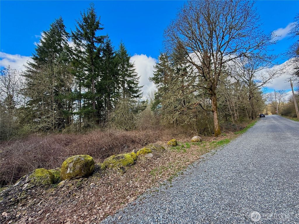 Photo of 35208 88th Avenue, McKenna, WA 98558 (MLS # 2491550)