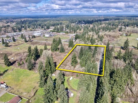 Photo of 35208 88th Avenue, McKenna, WA 98558 (MLS # 2491550)