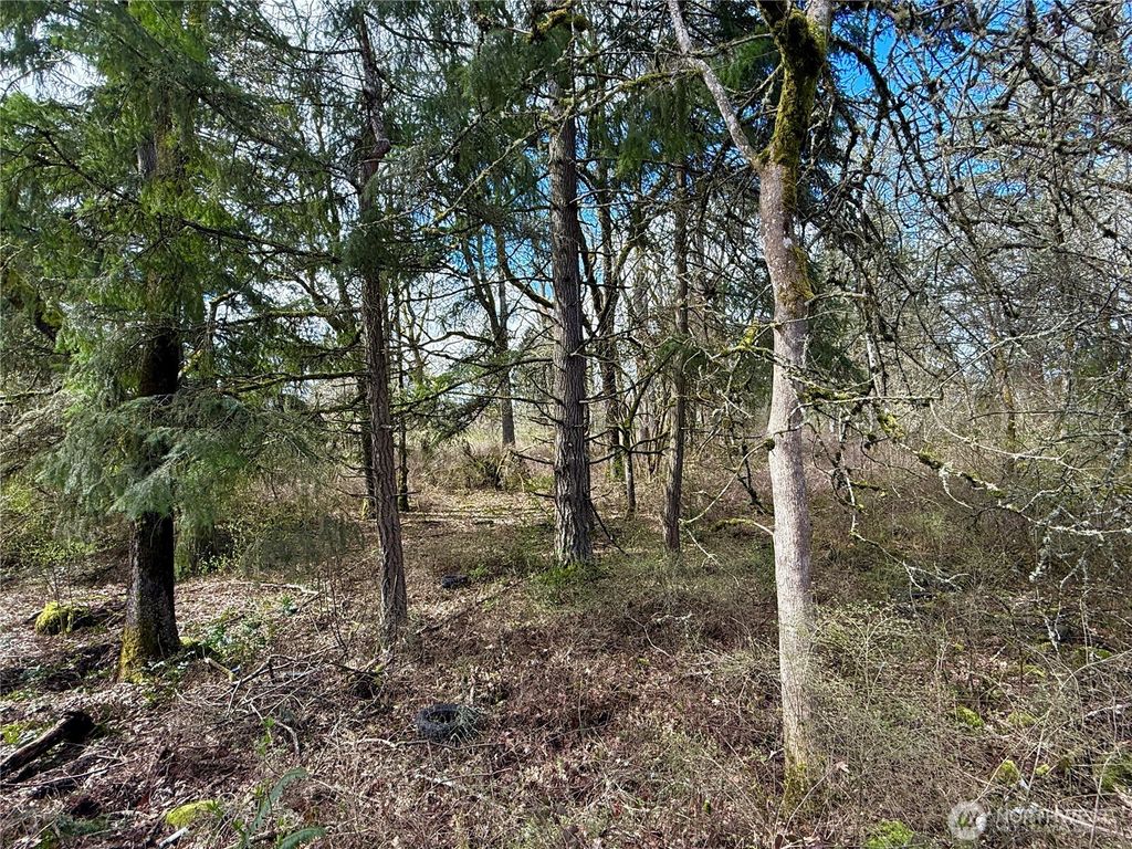 Photo of 35208 88th Avenue, McKenna, WA 98558 (MLS # 2491550)