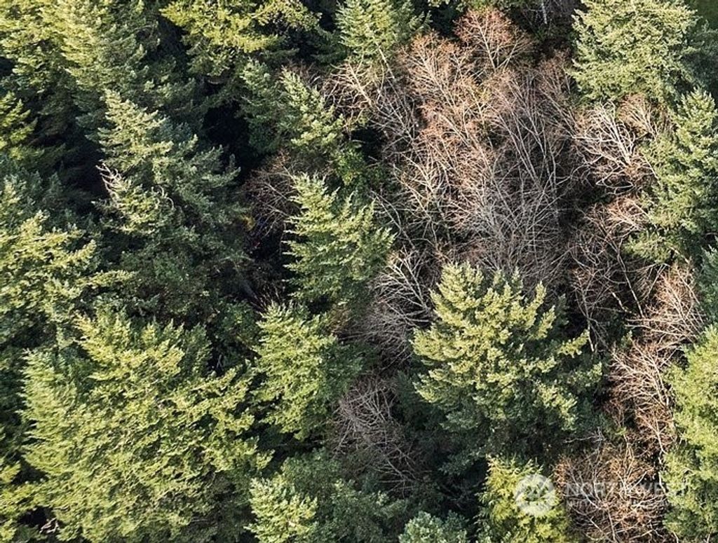 Lot D0 Jared Road, Harstine Island, Shelton Land for Sale in Shelton