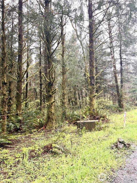Photo of 300 Luttrell Lane, Ilwaco, WA 98624 (MLS # 2344708) Photo of 300 Luttrell Lane, Ilwaco, WA 98624 (MLS # 2344708)