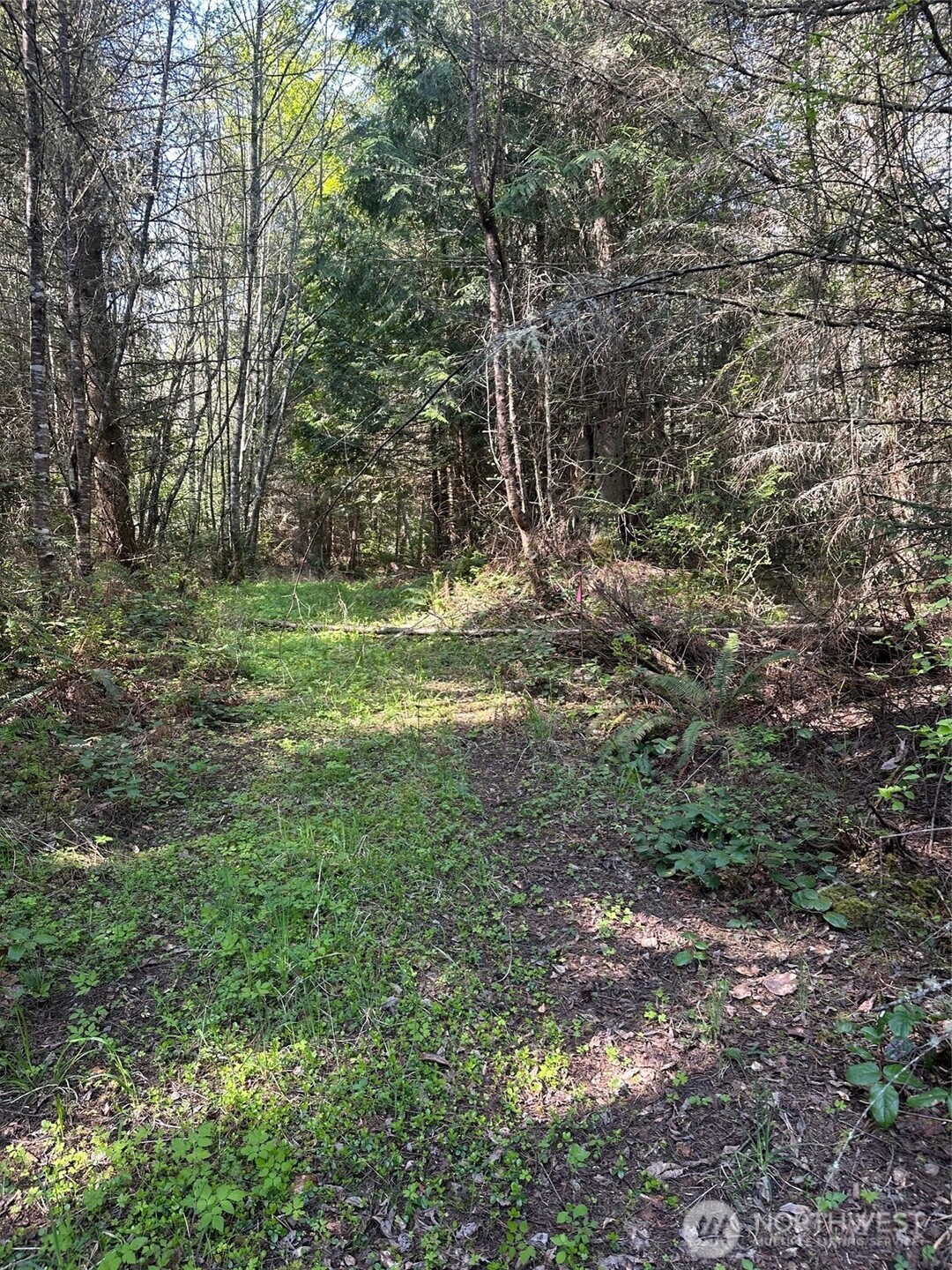 9999 Pristine Lane, Lot 1