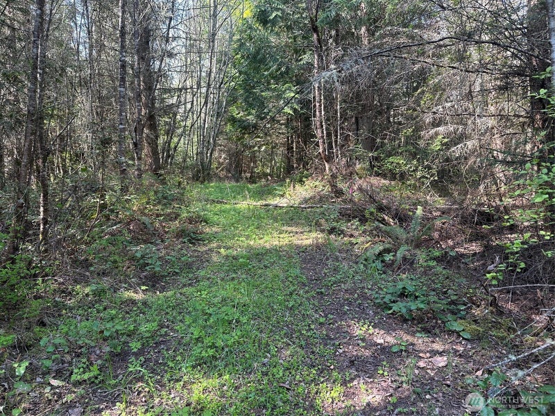 9999 Pristine Lane, Lot 1
