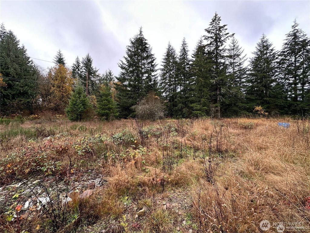 Photo of 144 Avery Road #A, Chehalis, WA 98532 (MLS # 2493040)