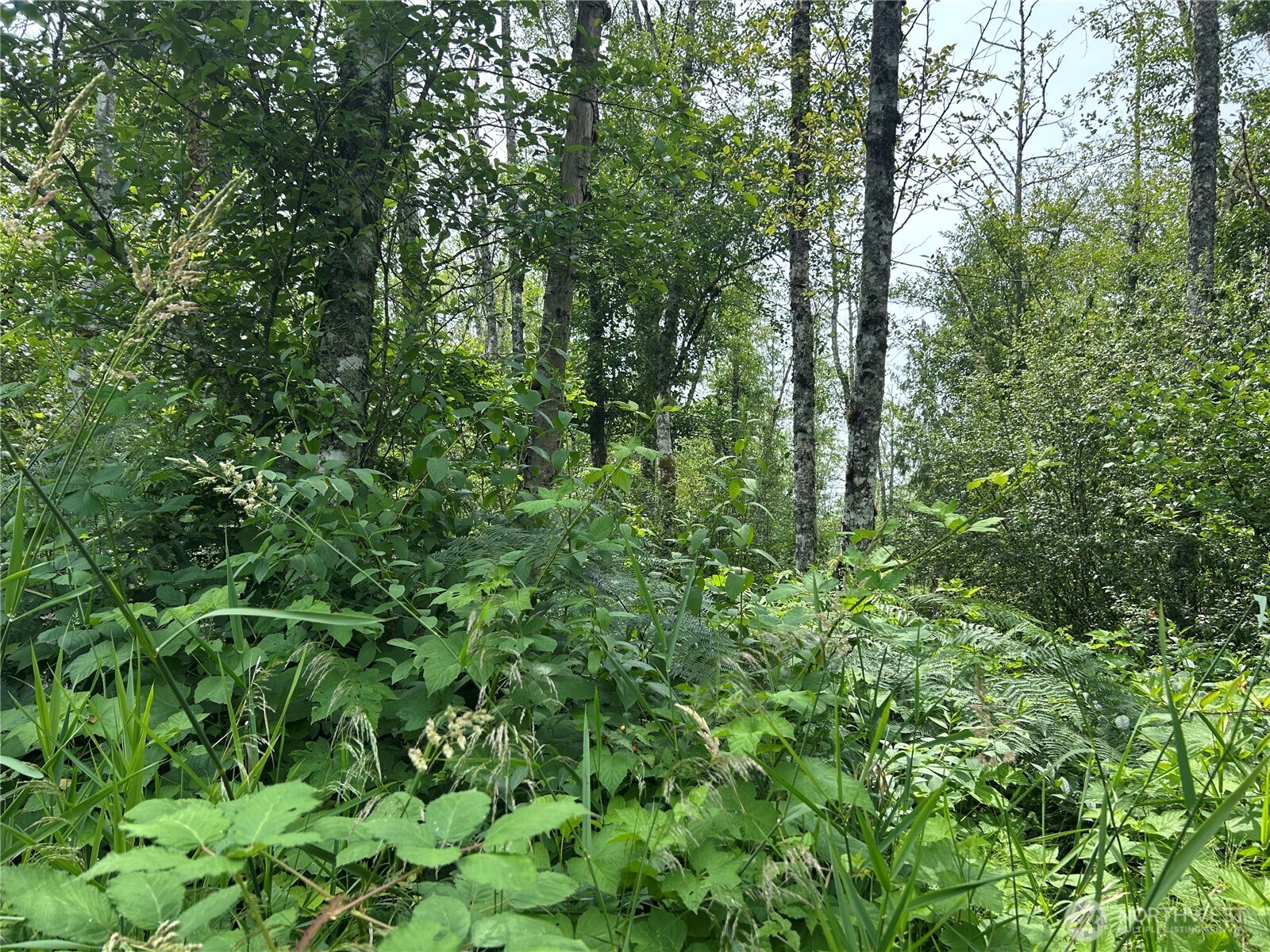 3474 Old Highway 99 Road N
