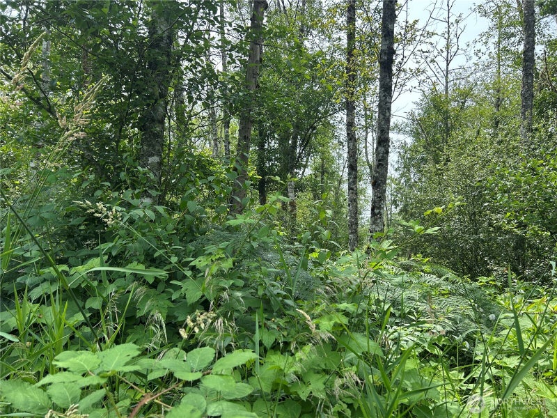 3474 Old Highway 99 Road N