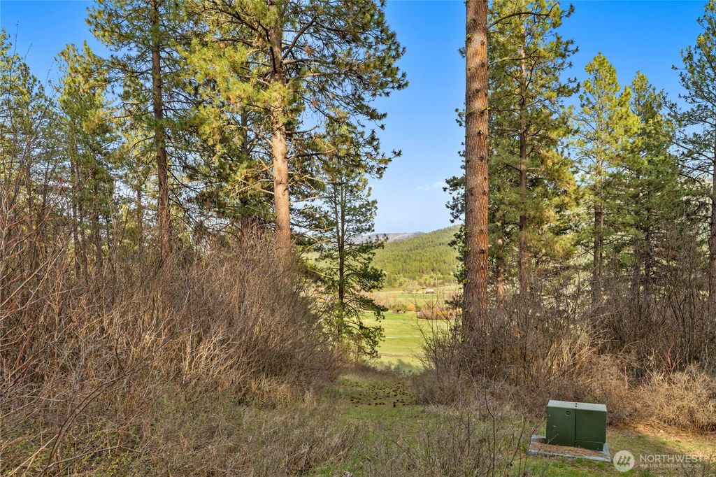 Photo of 250 Fir Tree Drive, Cle Elum, WA 98922 (MLS # 2502709)